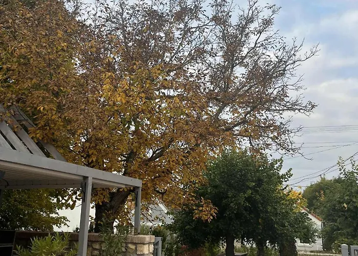 Stadium Panzio 3* Németbarnag